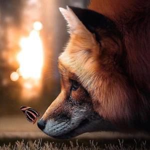 Meet your Posher, Olesia